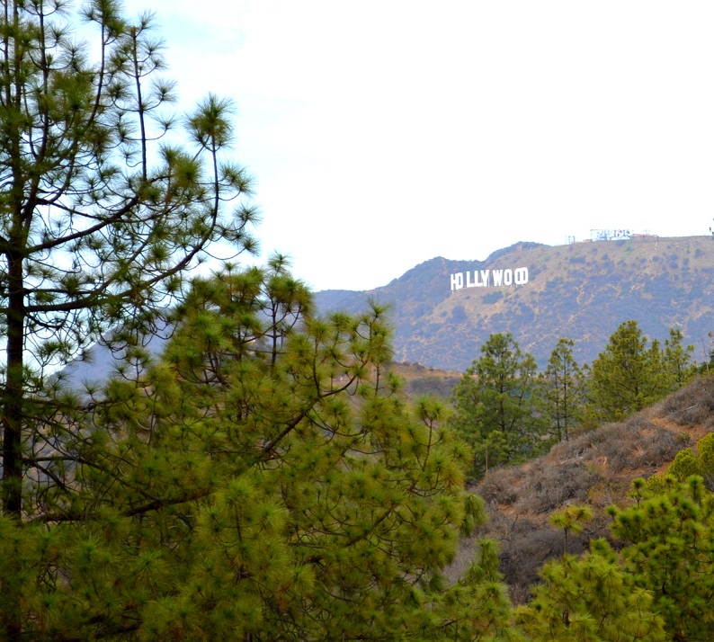 Hollywood Sign in Griffith Park