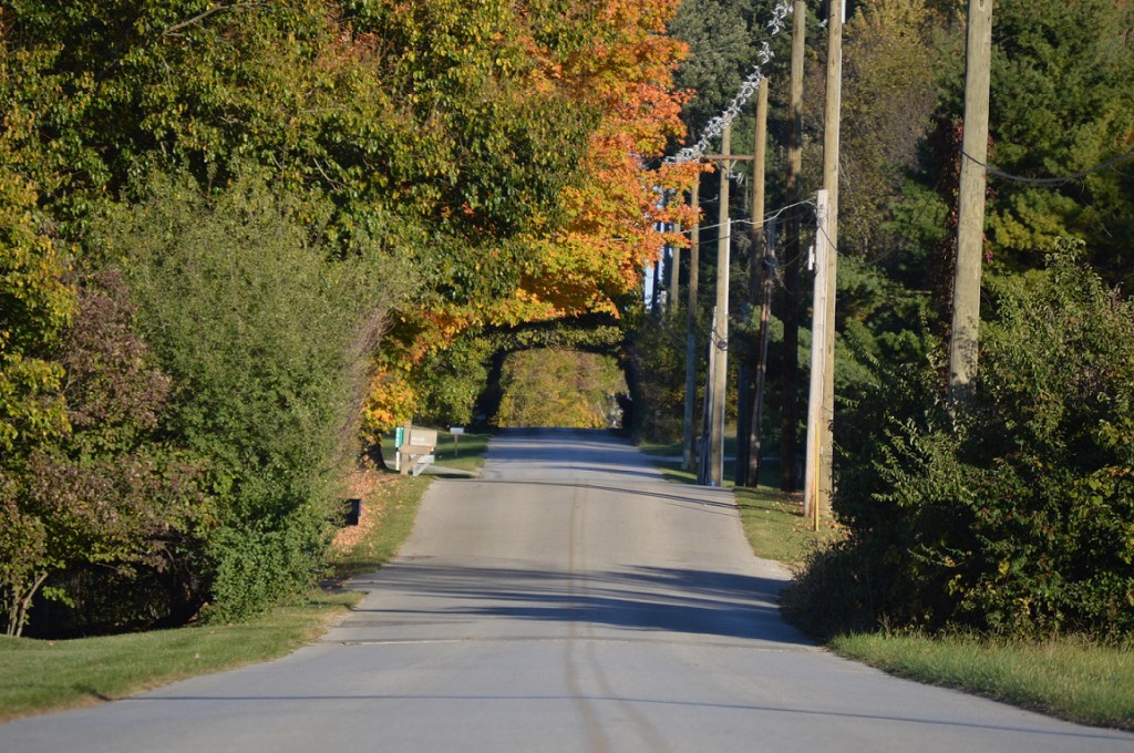 The road home in Zionsville, Indiana