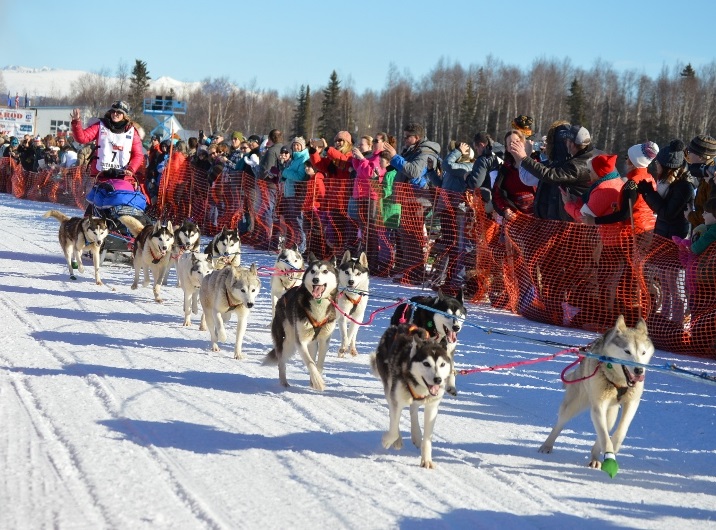 A musher greeting the crowd at the start of the Iditarod