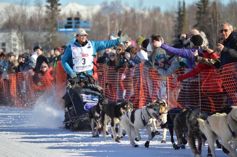 A musher high-fiving the crowd at the Iditarod