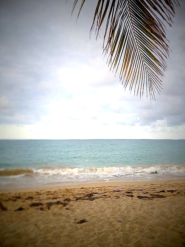 A quiet beach in Puerto Rico