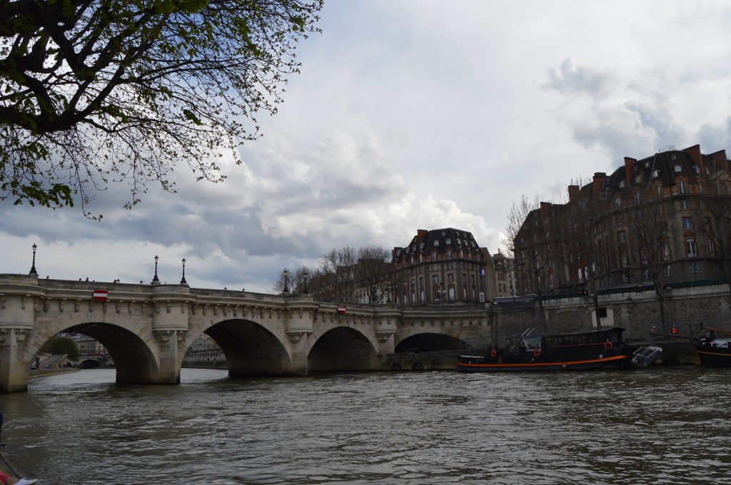 Pont Neuf Bridge in Paris, France