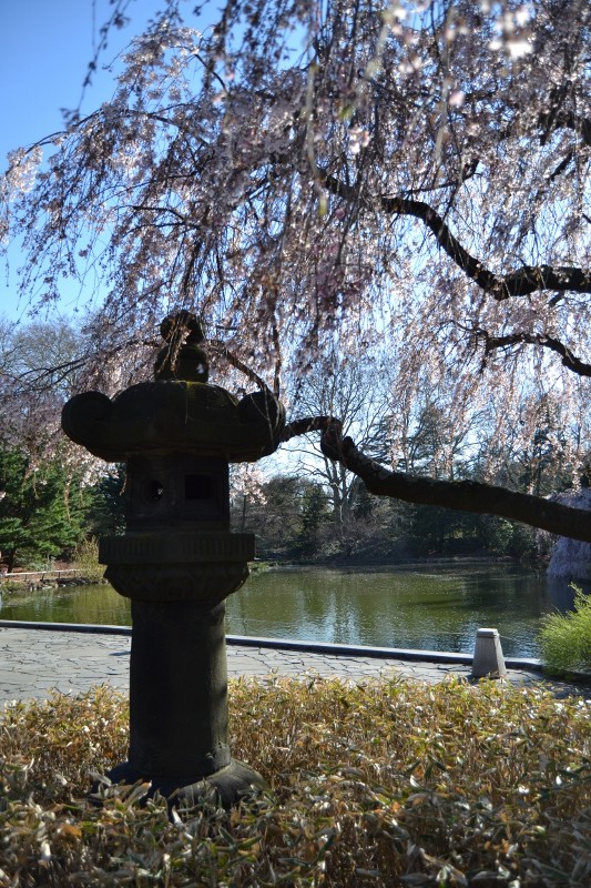 Sculpture in the Japanese garden (533x800)