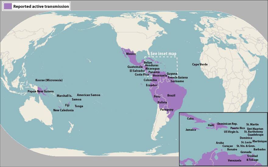 Areas of Zika transmission