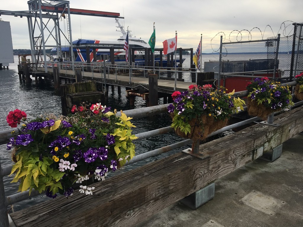 Flags and flowers along a Seattle pier