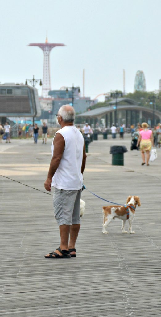 A man and his dog walking on the Brighton Beach boardwalk