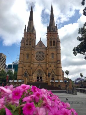 a-view-of-st-marys-cathedral-in-sydney-australia