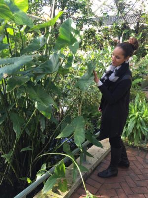 exploring-the-greenhouse-at-the-brooklyn-botanic-garden