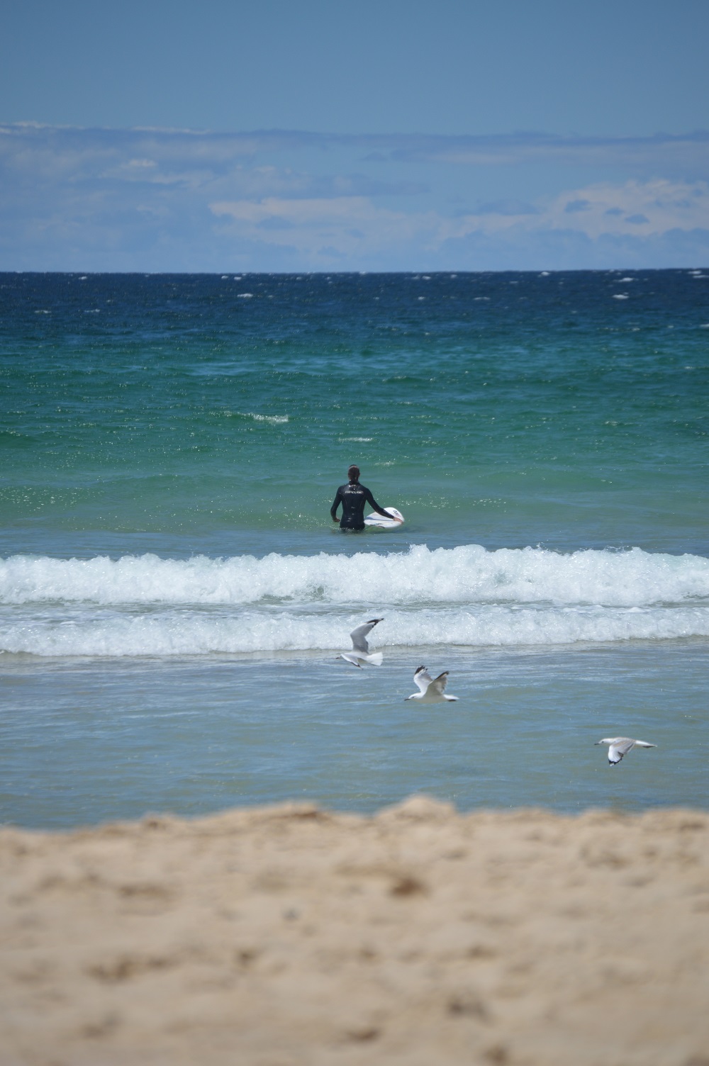 Surfer at Bondi Beach in Sydney