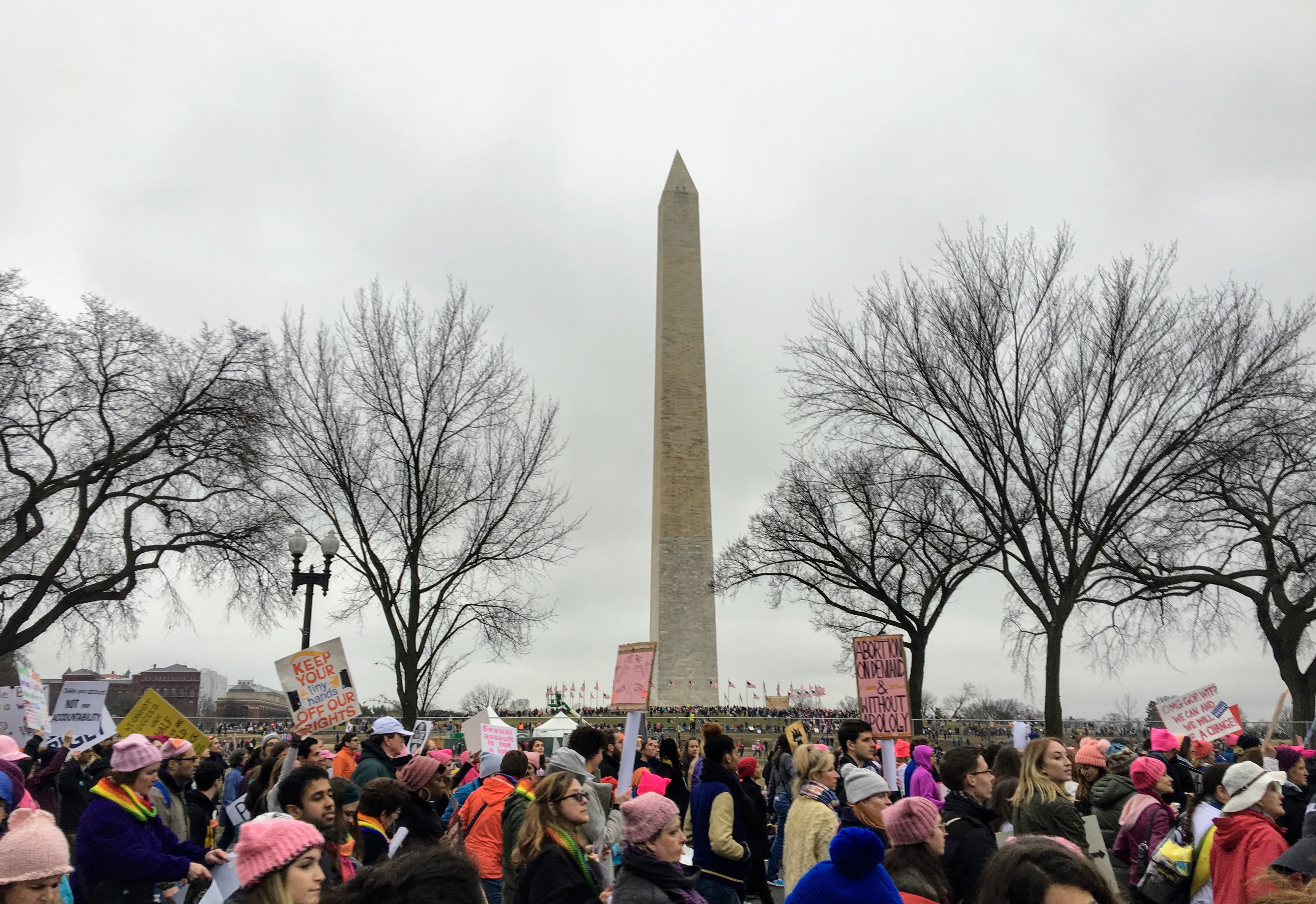 Womens March on Washington DC