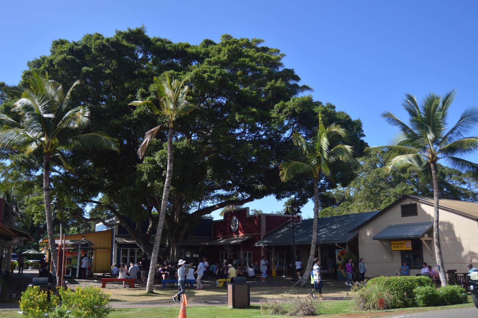 North Shore Marketplace in Oahu, Hawaii