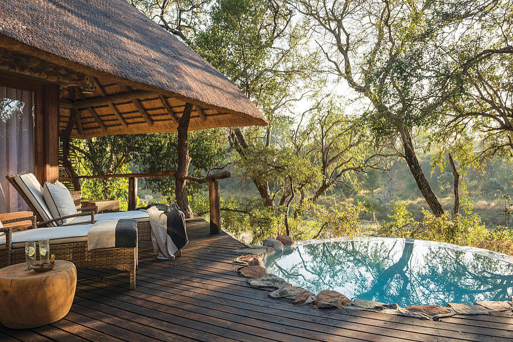 Luxury safari in South Africa