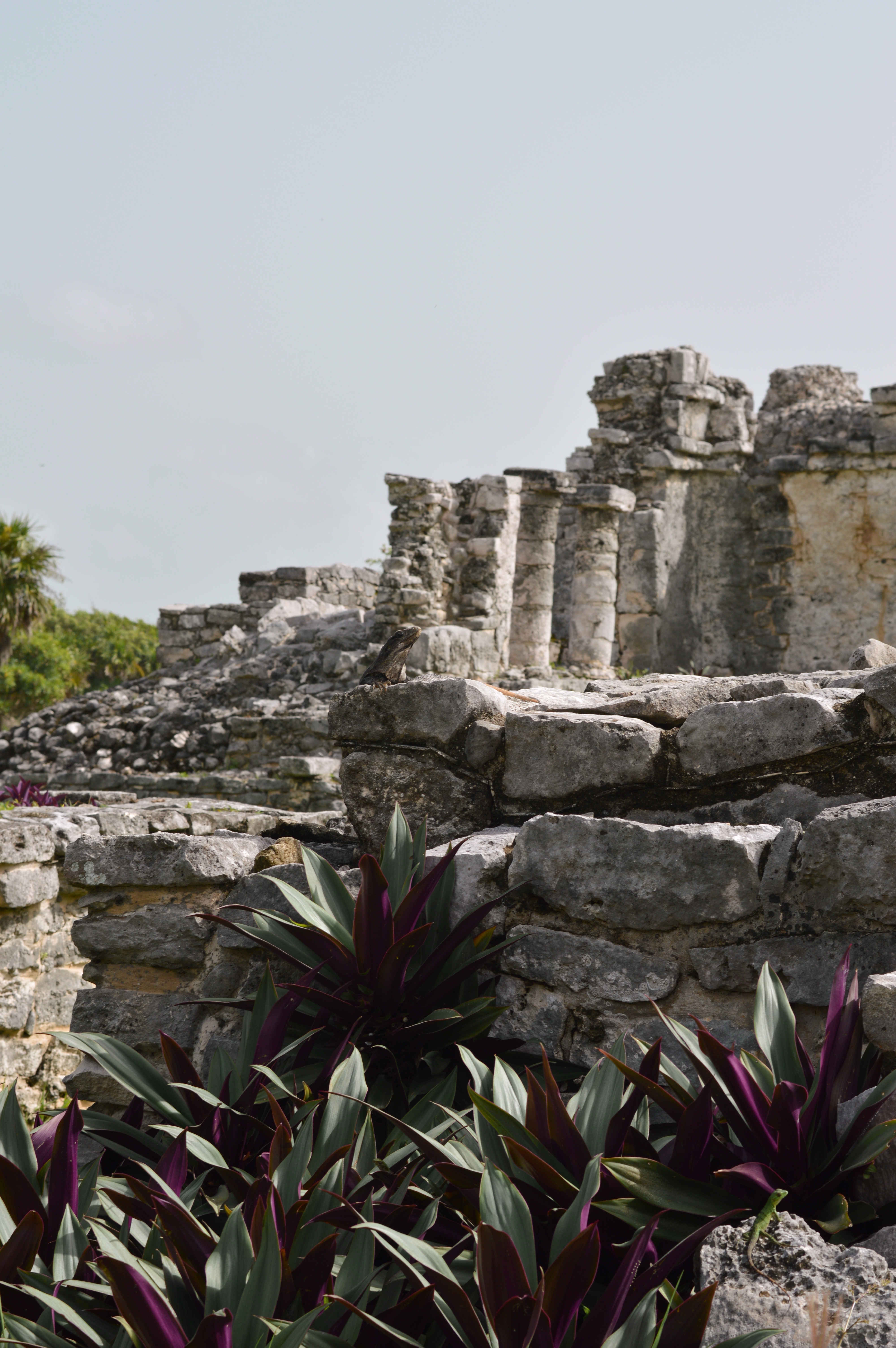 A day at the ruins in Tulum, Mexico
