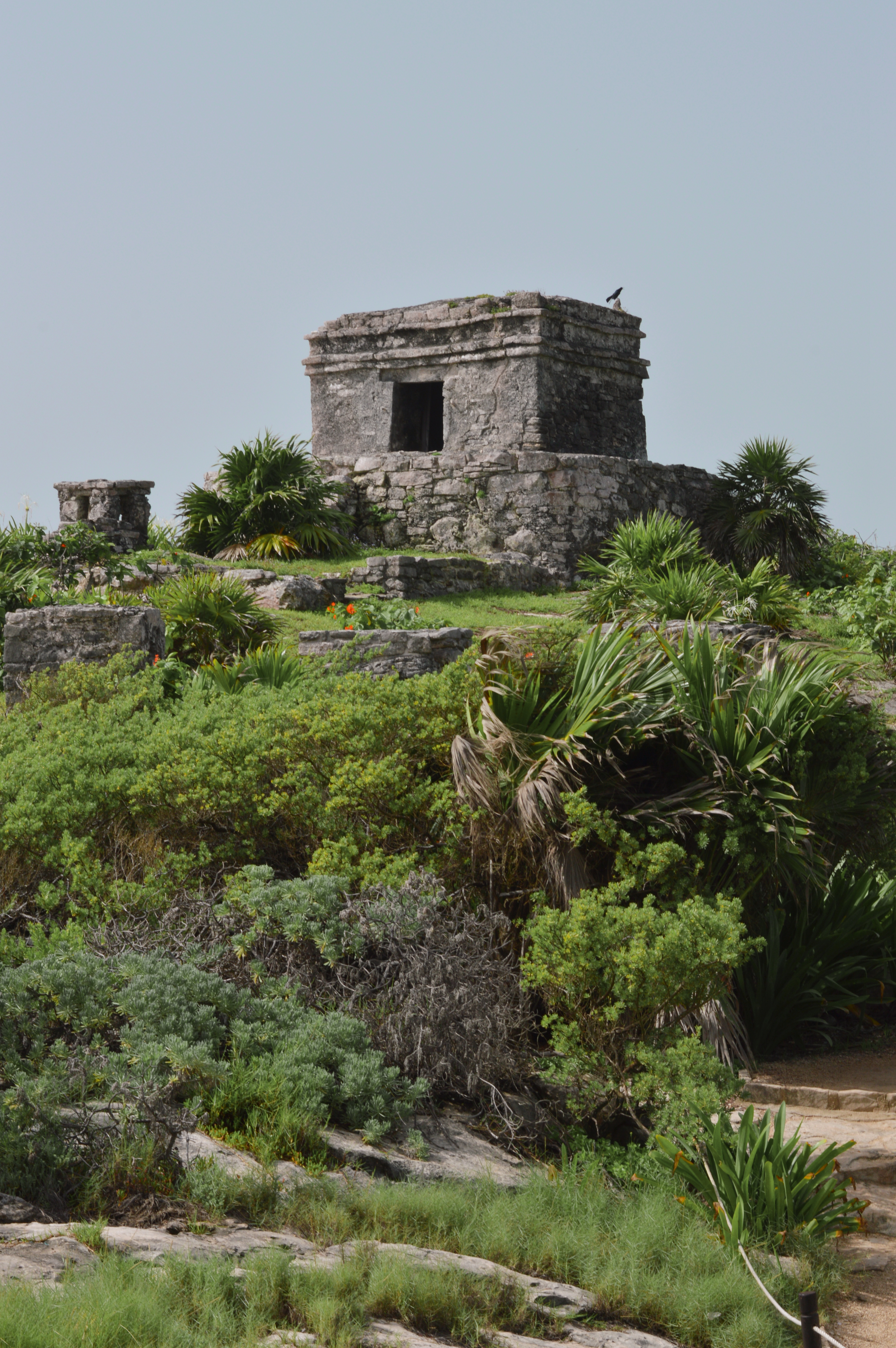 Nature and Ruins in Tulum