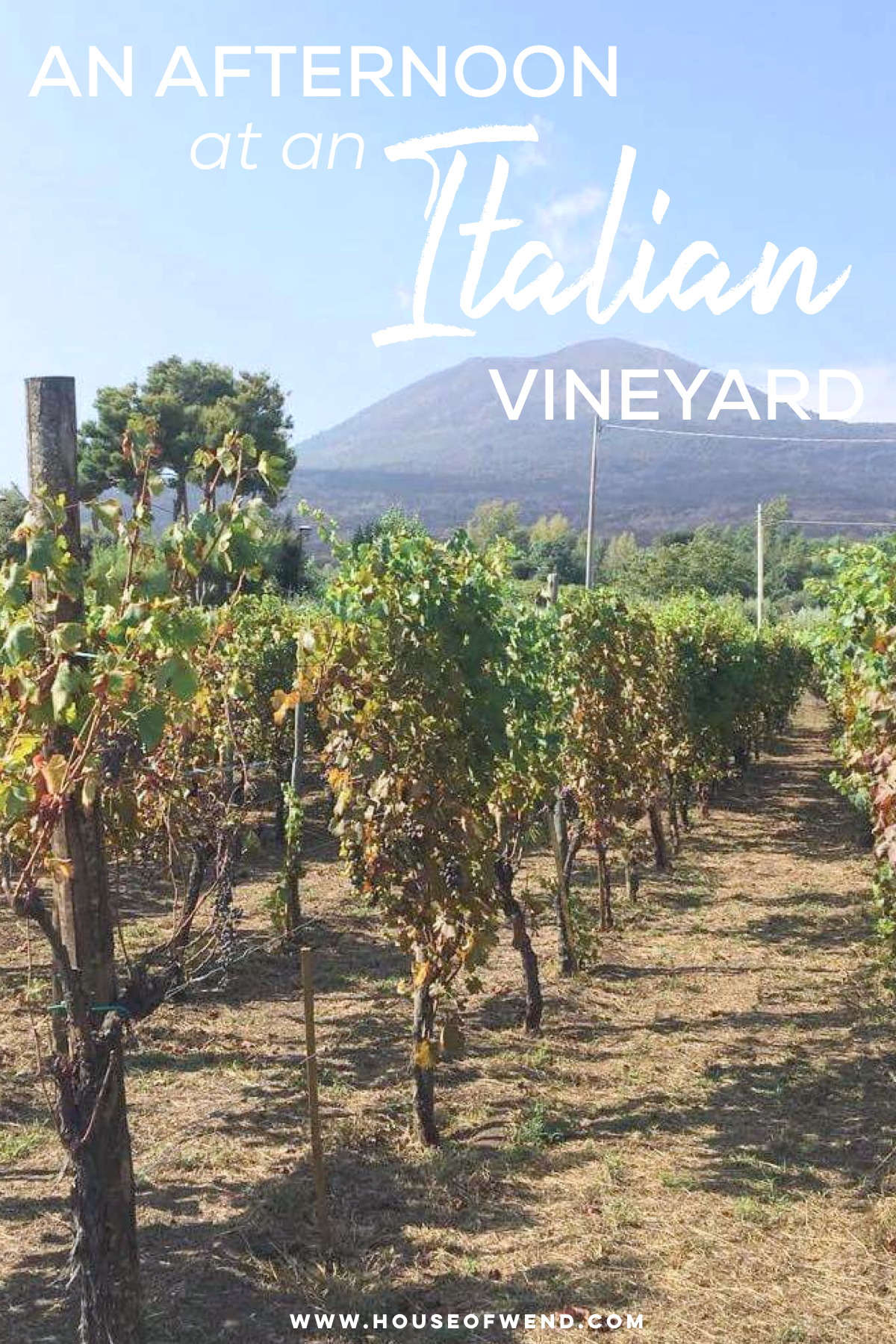An afternoon at an Italian vineyard