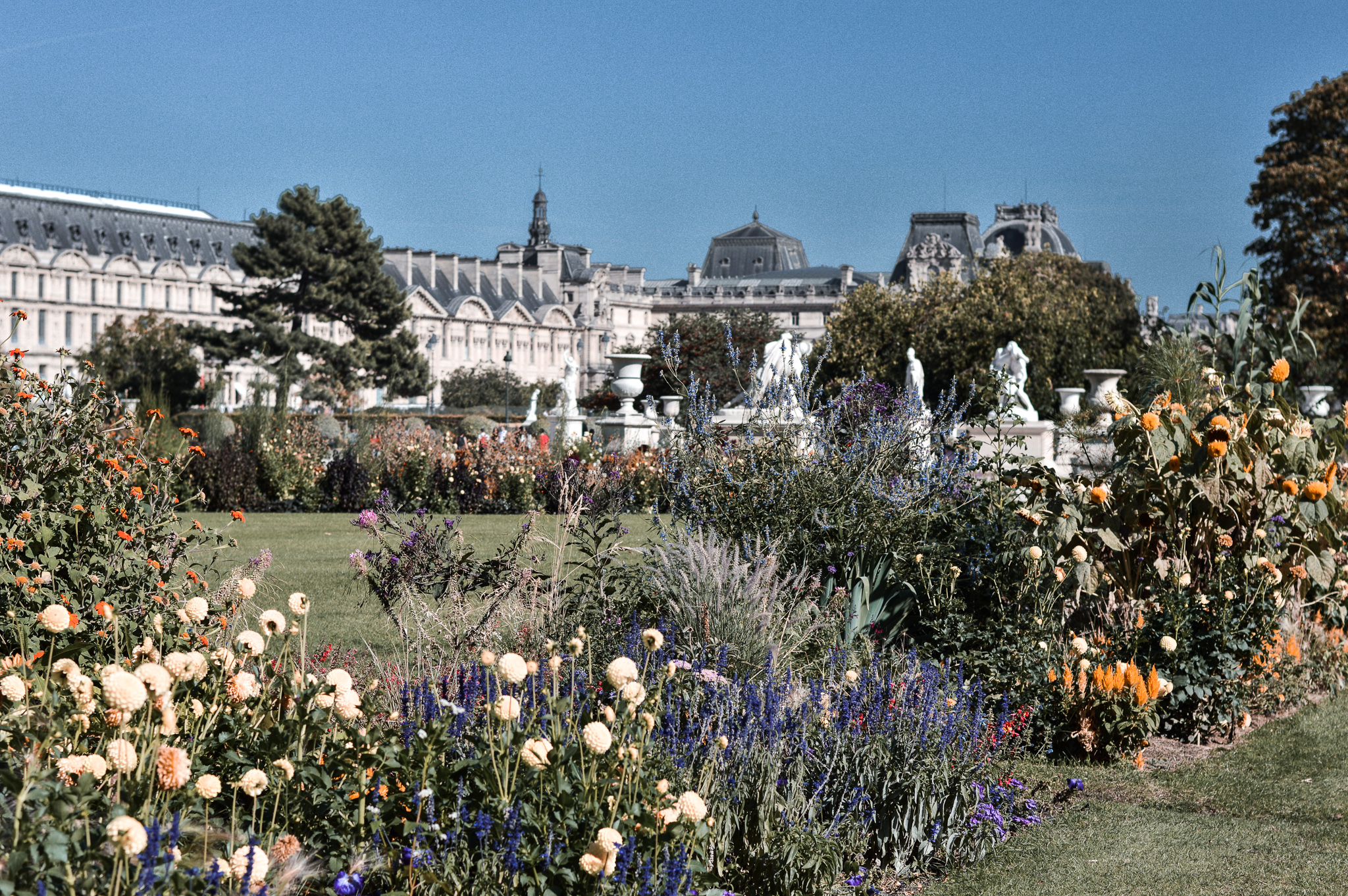 Fresh flowers at the Luxembourg Gardens in Paris, France