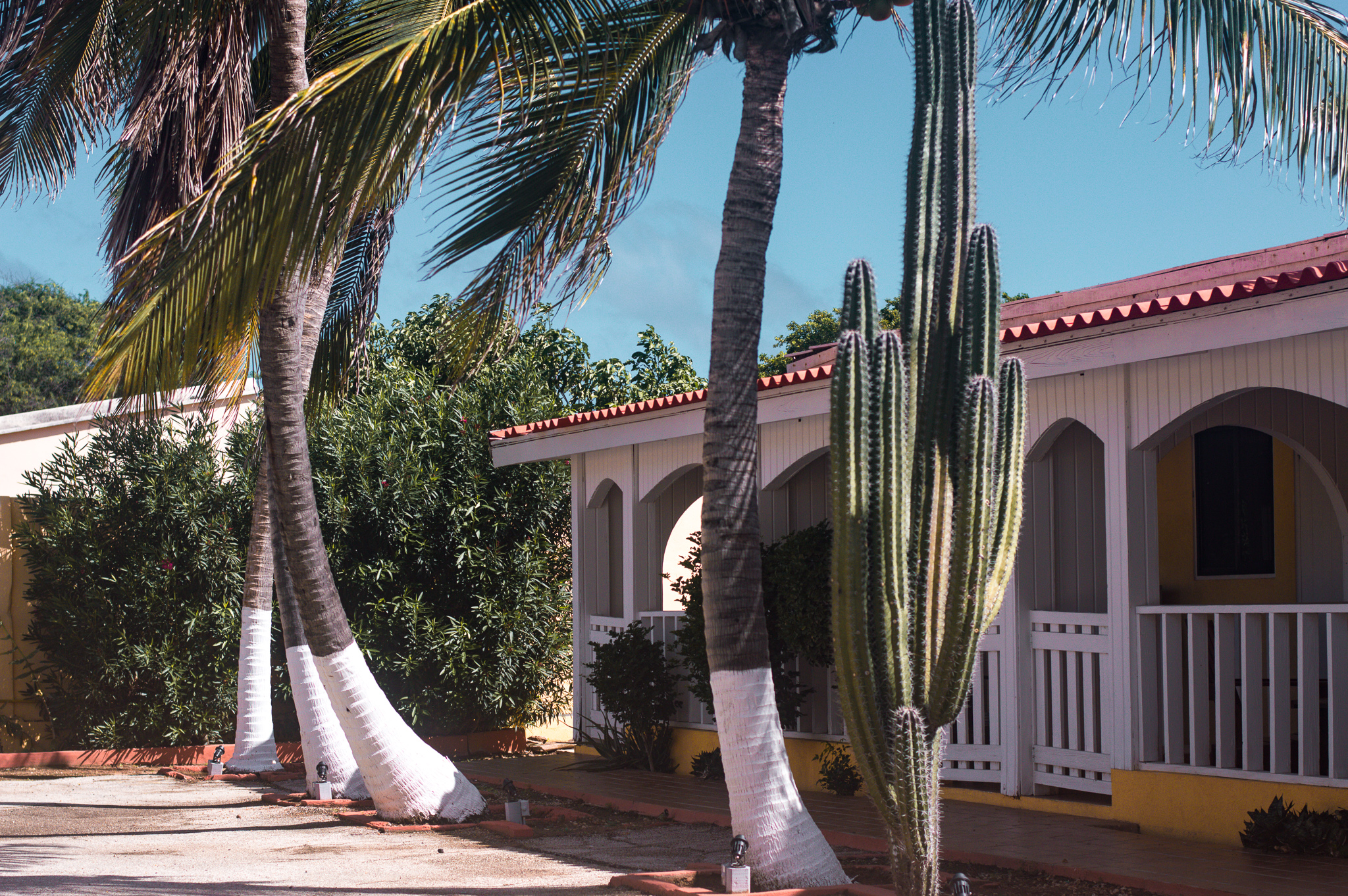Hotel in Aruba