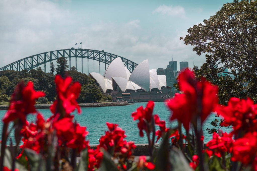 Sydney Opera house best view