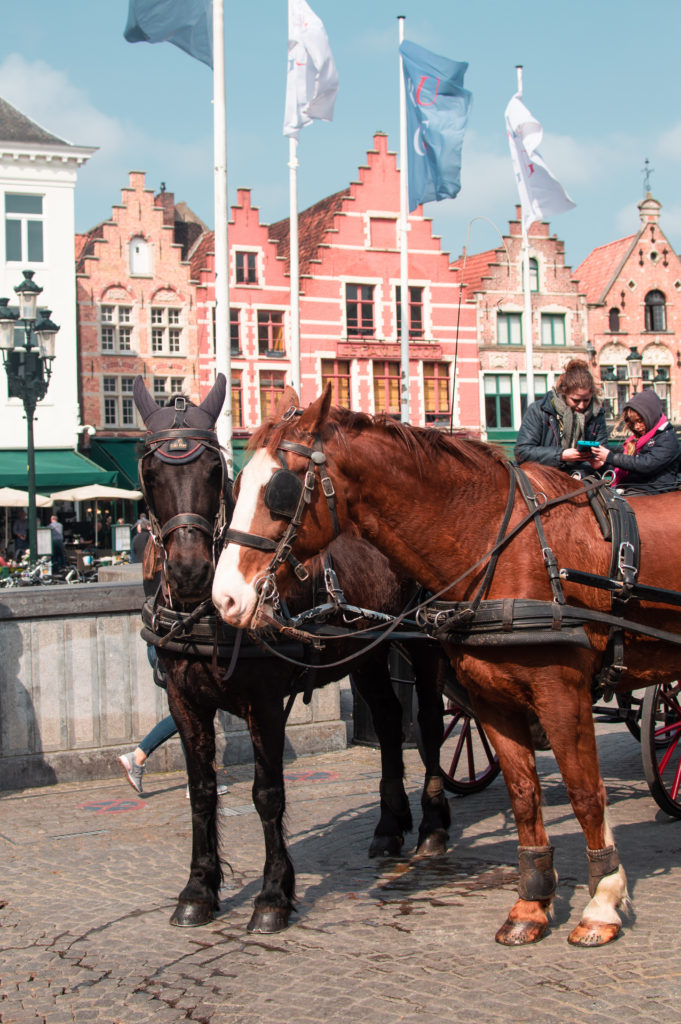 Horse and carriage in Bruges, Belgium